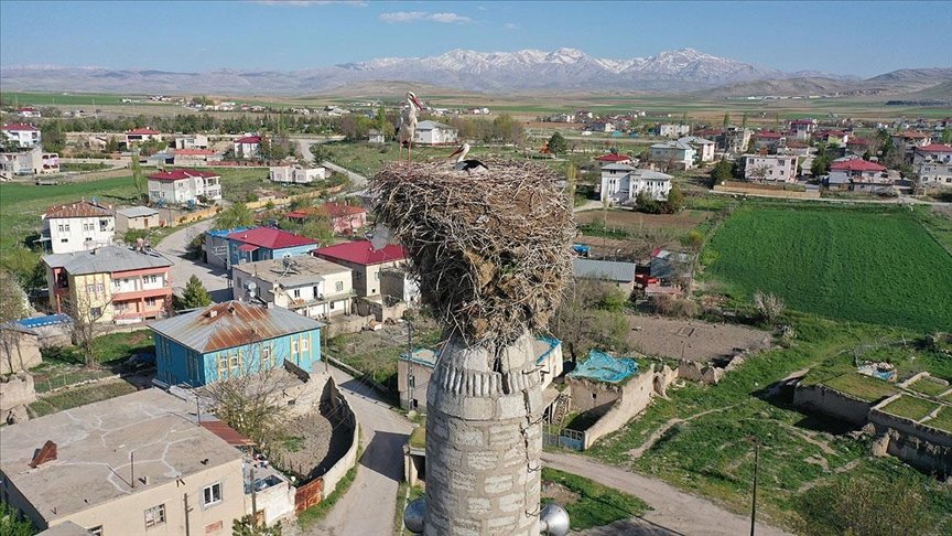 Çiçekli köyü camisindeki yuva leyleklerin 62 yıldır değişmeyen adresi oldu