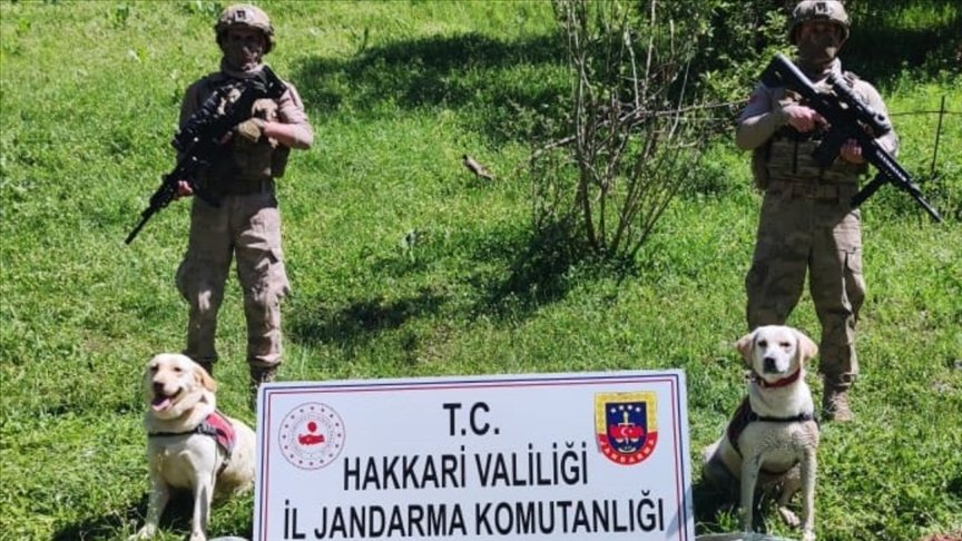 Hakkari’de terör örgütü PKK’ya yönelik operasyonda silah, patlayıcı ve mühimmat ele geçirildi