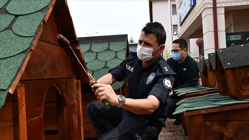 Gönüllü polisler devletin şefkat elini ‘sevimli dostlara’ uzattı
