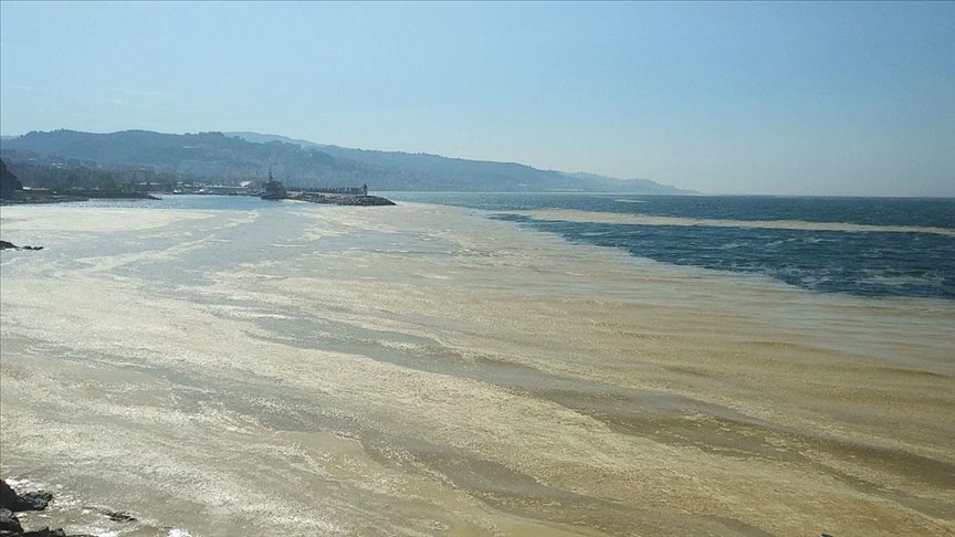 Marmara Denizi’nin birçok noktasına yayılan ‘deniz salyası’ Mudanya sahilini de kapladı