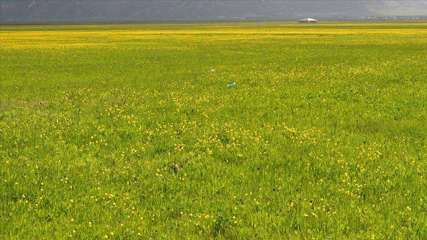 61 ova ‘büyük ova koruma alanı’ olarak belirlendi