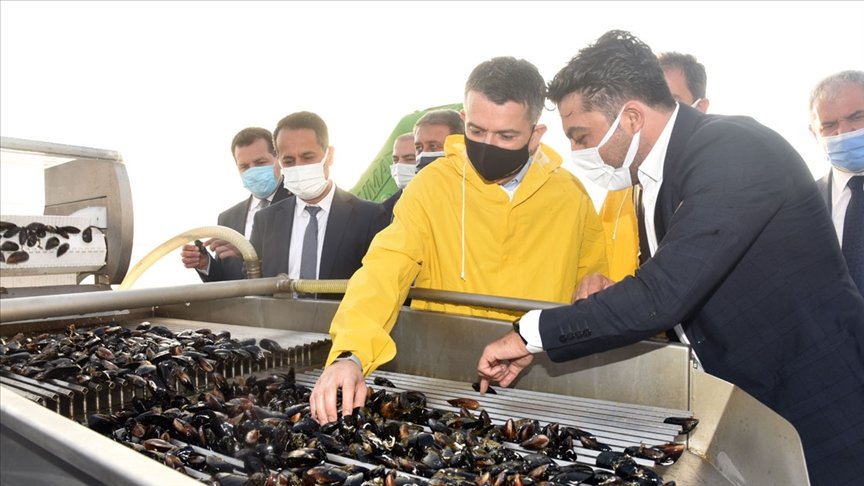 Tarım ve Orman Bakanı Pakdemirli’den kıyı balıkçılarına ödeme müjdesi