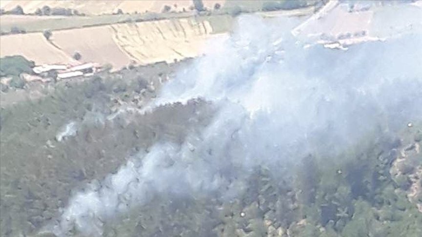 Muğla’da çıkan orman yangını kontrol altına alınmaya çalışılıyor