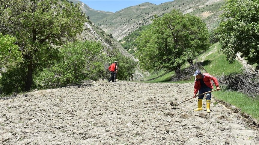 Hakkari’de 40 yıl sonra köylerine dönen vatandaşlar çifte bayram yaşadı