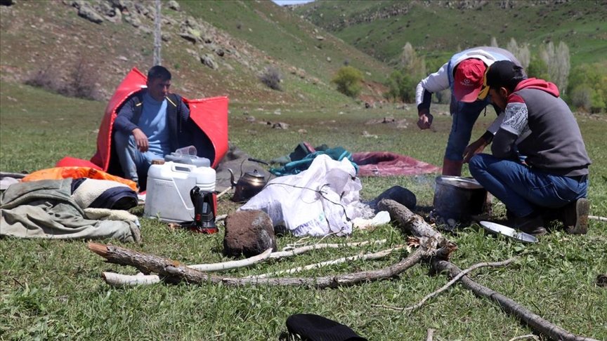 Doğanın canlandığı Ağrı’da yayla çobanları zorlu mesailerine başlıyor