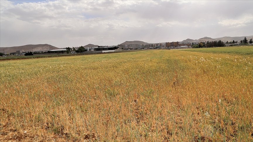 Türkiye’de 2021 su/tarım yılı 7 aylık yağışları yüzde 24 azaldı
