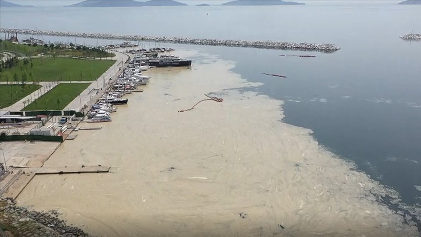 Anadolu Yakası’nda deniz yüzeyinde oluşan beyaz tabaka kıyıya da vurdu