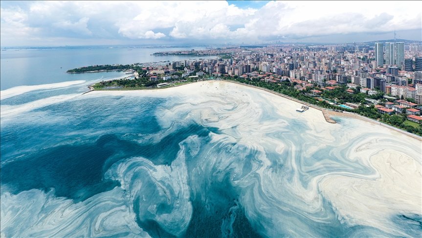 Caddebostan Sahili’nde müsilaj yoğunluğu arttı