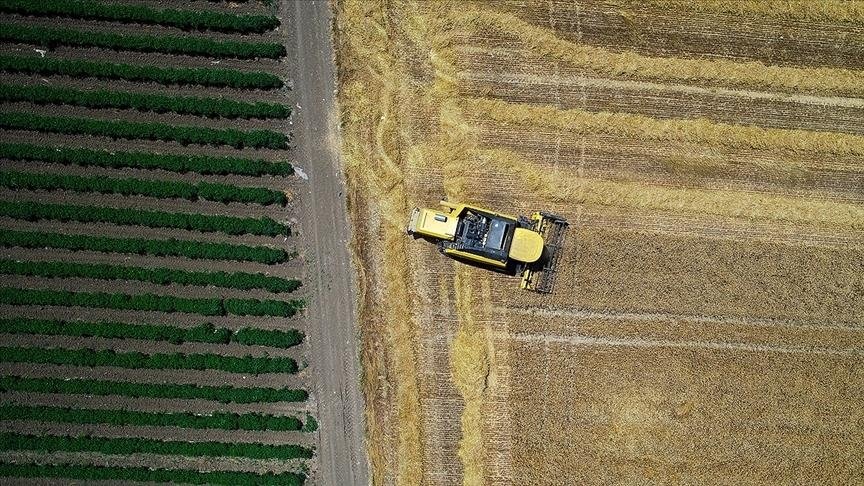 Tarım sektöründen tarihinin en yüksek ocak-mayıs ihracatı
