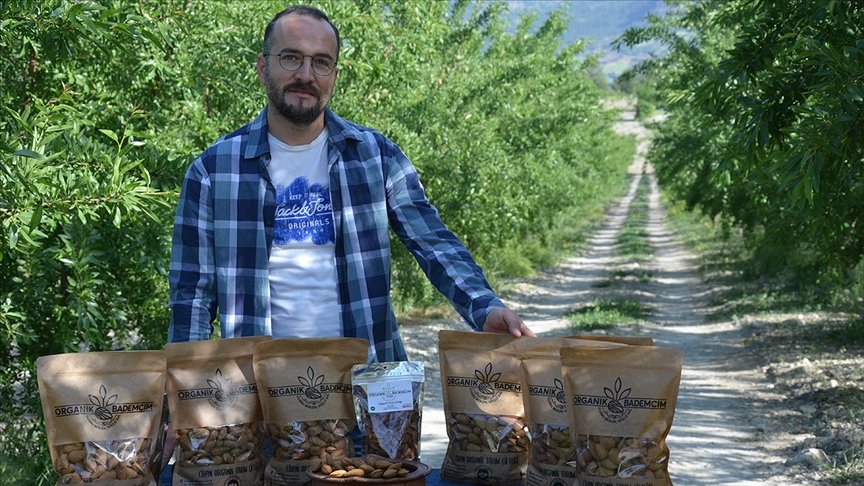 Manisa’da devlet desteğiyle tarlasına badem fidanı diken üretici ihracata başladı