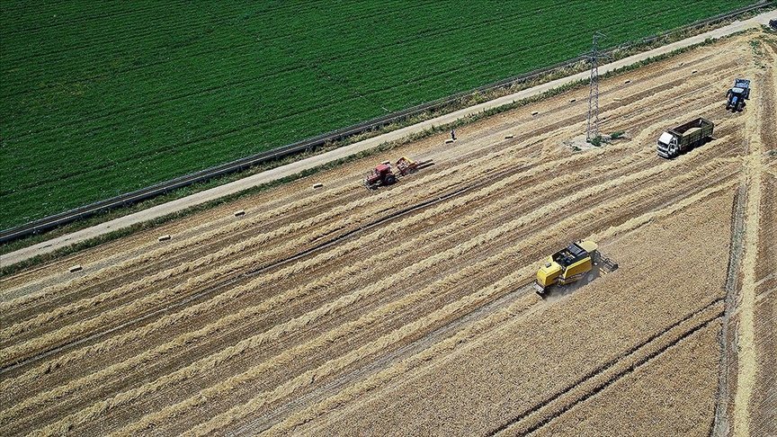 Bakan Pakdemirli: Üreticilerimize yaklaşık 158 milyon liralık destek ödemelerine bugün başlıyoruz