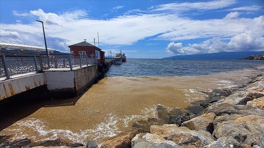 Gemlik Körfezi’nde deniz salyası kıyı bölgelerde yoğunlaştı