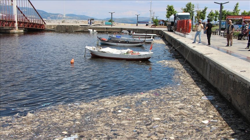 Balıkesir’de müsilaj temizliği devam ediyor