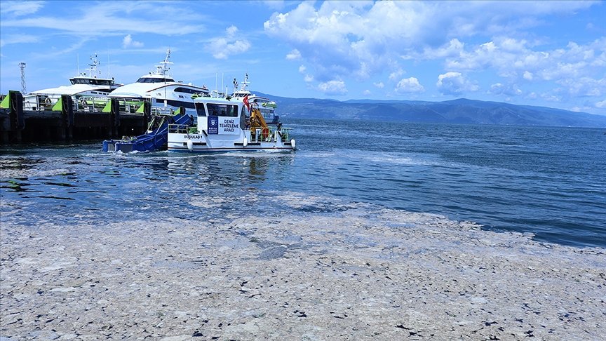 Marmara Denizi’nden temizlenecek deniz salyasının tarımdaki kullanım alanları araştırılıyor