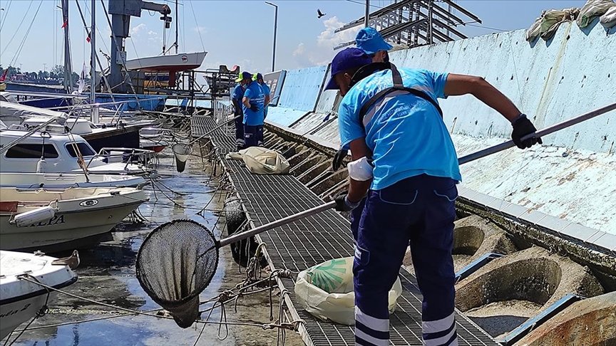 İstanbul’da müsilaj temizleme çalışmaları sürüyor