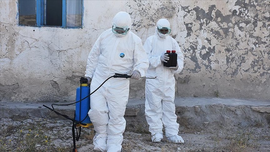 Kaldırımdaki otlarla mücadelede kullanılan kimyasalların ‘kanser’ riski taşıdığı iddiası