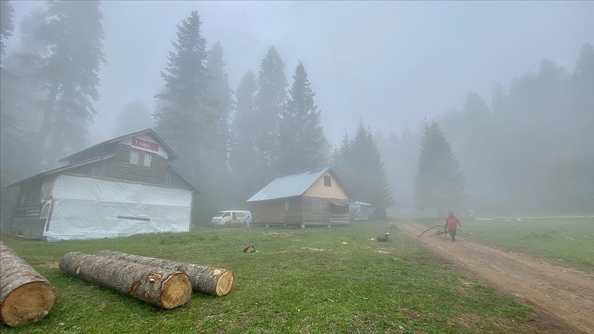 Batı Karadeniz yaylaları kademeli normalleşme süreciyle şenlendi