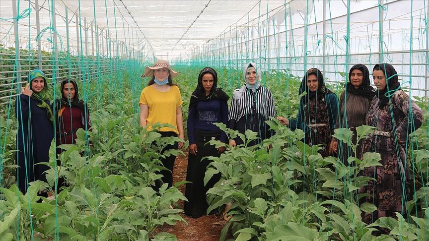 Türk ve Suriyeli kadınlar kurdukları kooperatifle güçlerini birleştirdi