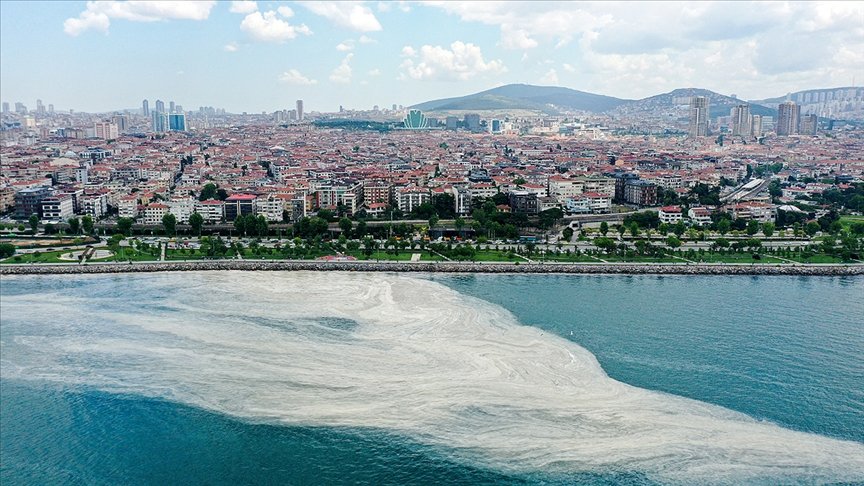 Marmara Denizi’ndeki müsilaj sorununa acil çözüm için bilim insanları YÖK’te toplanacak