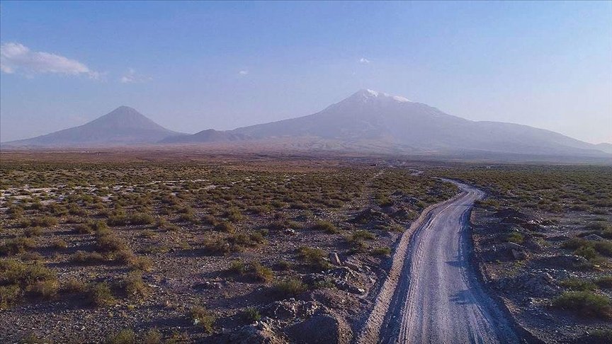 Kökleriyle toprağı tutan ebucehil çalısı Iğdır’da kum fırtınasına da set oldu