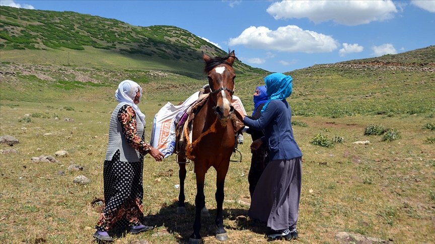 Muş’ta berivanlar her gün at sırtında 8 kilometre yol gidiyor