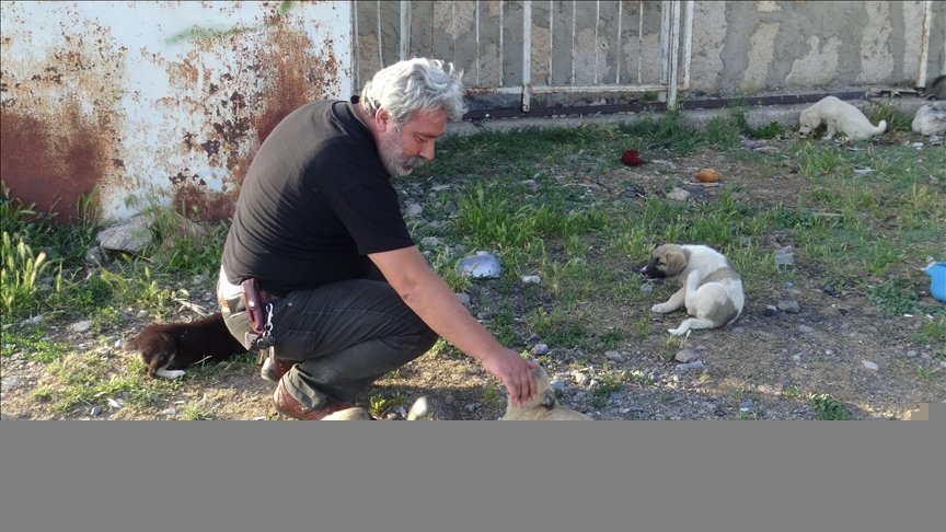 Afyonkarahisar’da ‘can dostları’nı günde iki kez besleyen esnaf, çevresindekilere örnek oluyor