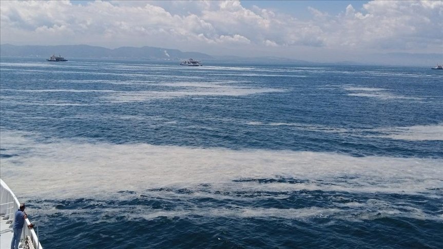 İzmit Körfezi’nde müsilaj etkisini sürdürüyor