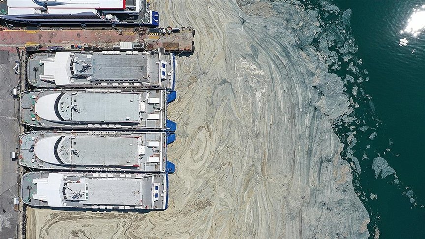 Marmara Denizi’ndeki müsilaj sorunu için laboratuvarda ‘reaktif oksijen’ çalışması deneniyor