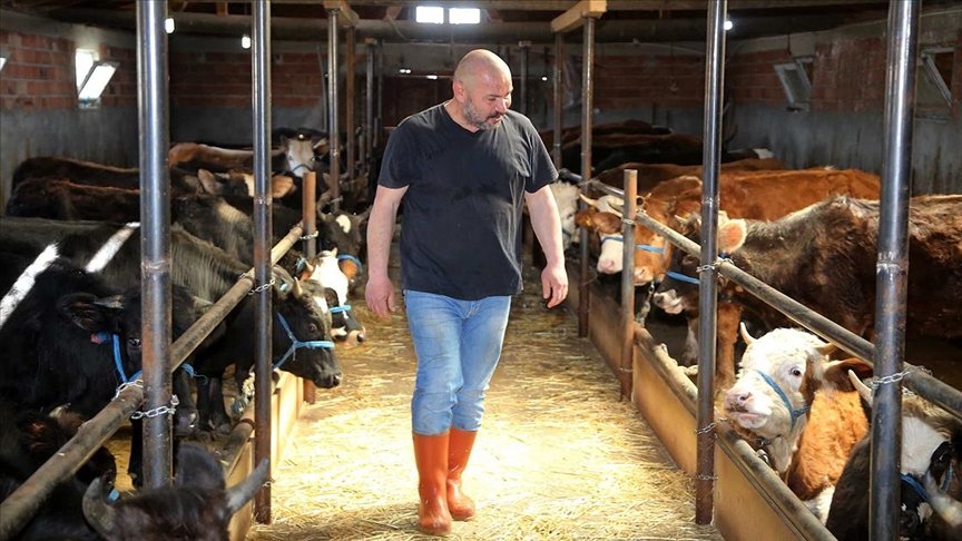 İstanbul’da müdürlüğü bırakan muhasebeci köyüne dönerek hayvancılık yapmaya başladı