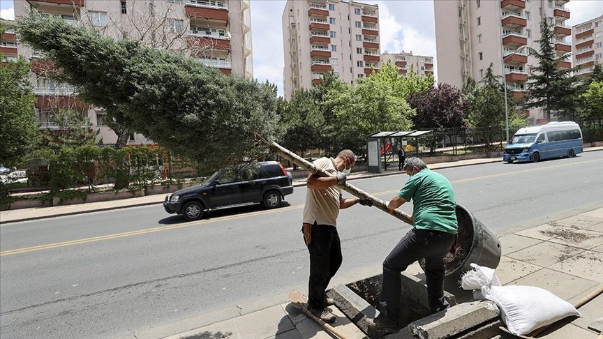 Cumhurbaşkanlığı Çankaya Köşkü’nün çevresi ağaçlandırılıyor