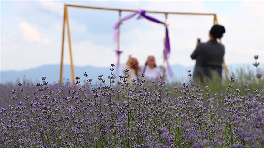 ‘Tekirdağ Lavanta Günleri’ başladı