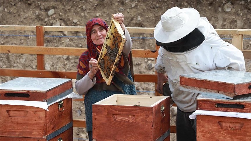 Zengin bitki örtüsüne sahip Anzer Yaylası’nda arıcıların bal mesaisi başladı
