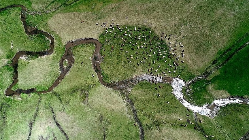 Erzurum’da kar sularının oluşturduğu menderesler büyülüyor