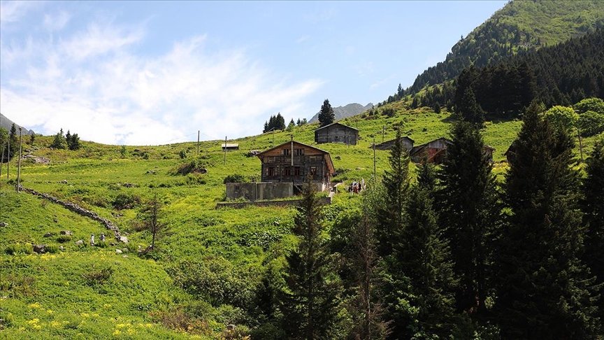 Karadeniz’in yeni gözdesi Elevit Yaylası ziyaretçilerine adeta nefes oluyor