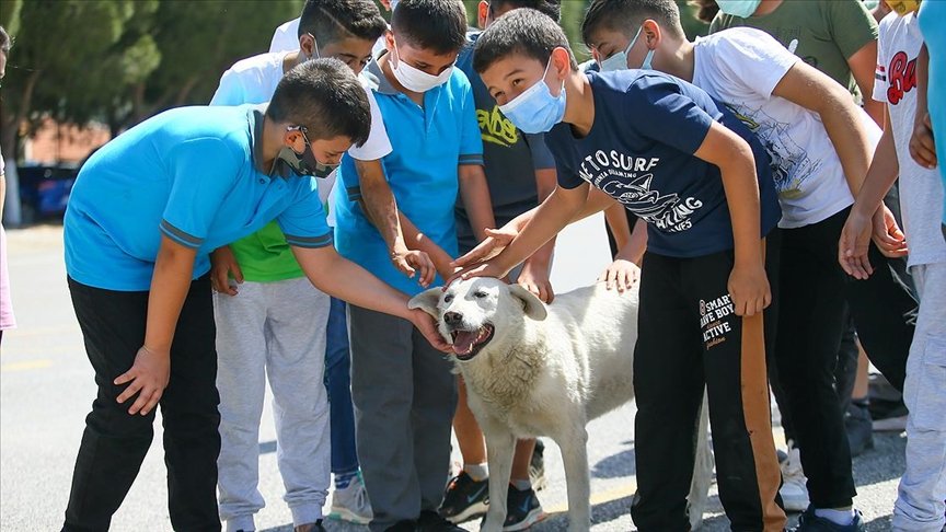 Sığındığı okul yuvası olan ‘Cengo’ kademeli normalleşme sonrası öğrencilerle buluştu