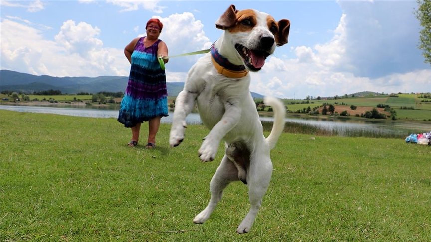 Köpekleri Tarçın ile karavanla Karadeniz turuna çıktılar