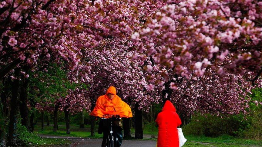 Dünya Meteoroloji Örgütü: Bu yıl Avrupa 2013’ten bu yana en soğuk baharı yaşadı