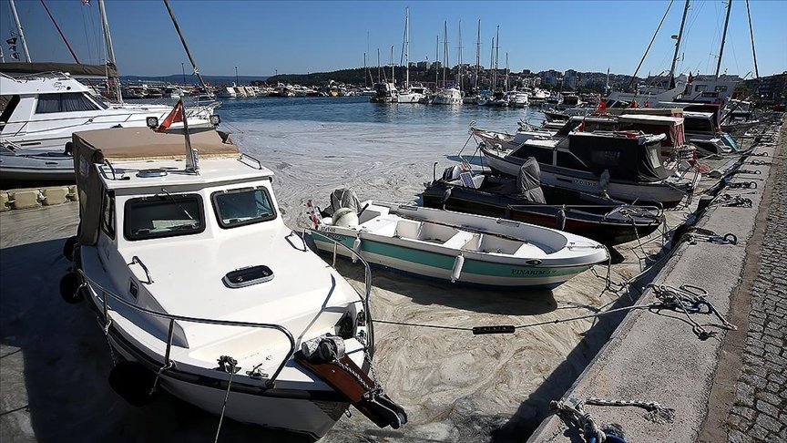 Çanakkale Boğazı ve Gemlik Körfezi’nde müsilaj etkisini sürdürüyor
