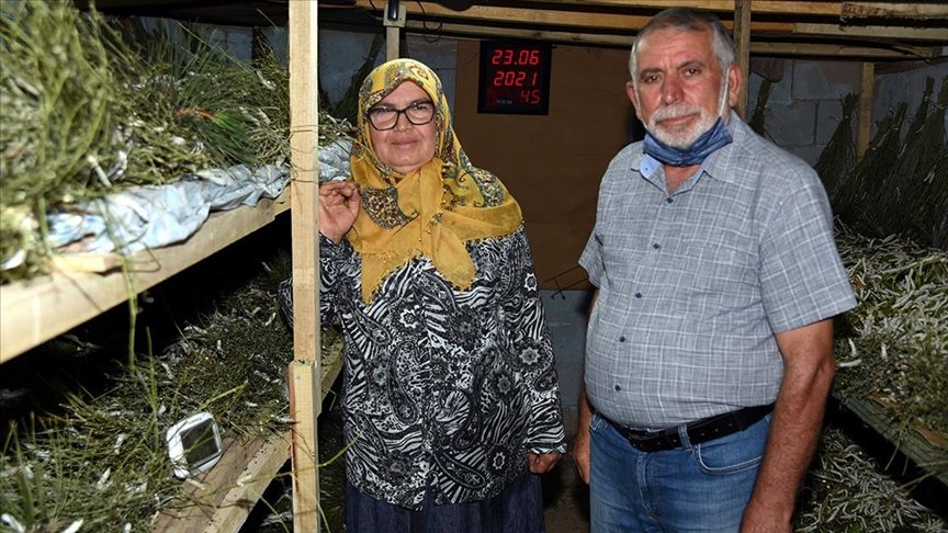 Emekli öğretim görevlisi hobi olarak başladığı ipek böceği yetiştiriciliğini gelir kapısına dönüştürdü