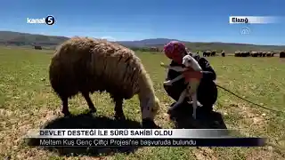 Devlet Desteği İle Sürü Sahibi Oldu