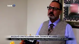 Ayçiçeği Üreticilerine Fark Ödemesi Müjdesi