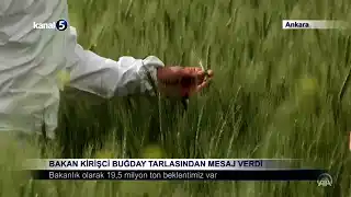 Bakan Kirişci Buğday Tarlasından Mesaj Verdi
