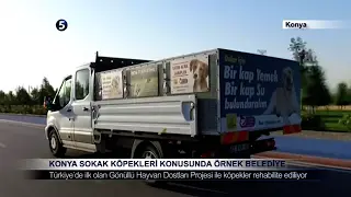 Konya Sokak Köpekleri Konusunda Örnek Belediye