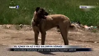 Yıl İçinde En Az 5 Kez Saldırıya Uğradı