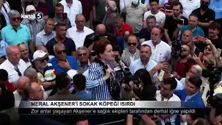 Meral Akşener’i Sokak Köpeği Isırdı