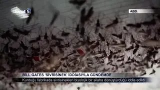 Bill Gates ‘Sivrisinek’ İddiasıyla Gündemde