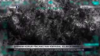 Şebnem Korur Fincancı’nın Kimyasal Silah İftirası