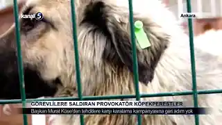 Görevlilere Saldıran Provokatör Köpekperestler