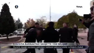 Konya’da Barınaktaki Vahşette Yeni Gelişme