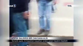 Köpek Saldırısı Bir Can Daha Aldı